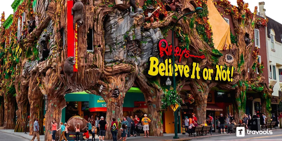 Ripley S Believe It Or Not Pattaya Travools