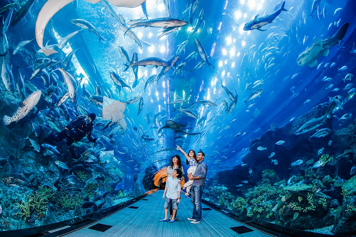 Buy dubai aquarium and water zoo ticket