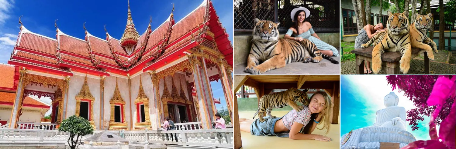 Phuket City Tour with Tiger Kingdom