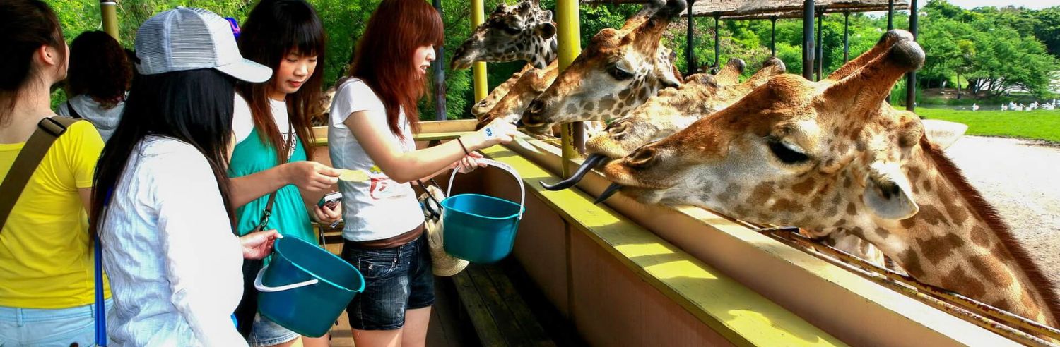 Safari World Ticket in Bangkok With Sharing Transfers